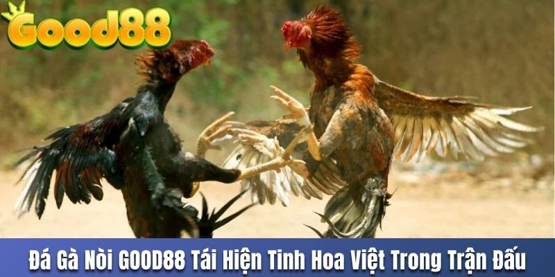 da-ga-noi