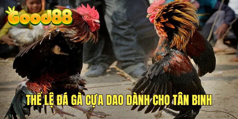 Thể lệ loại hình cựa dao dành cho người chơi mới 